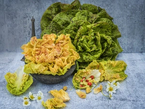 Salata Sanguine Amelioree - Img 3