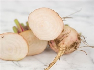 Sfecla alba Albino