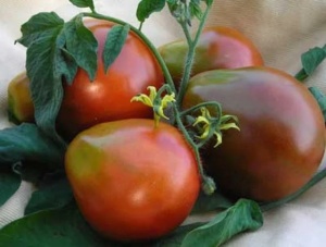 Tomate Black Truffle