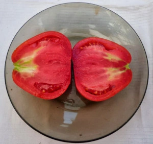 Tomate Coeur d'Albenga - Img 3