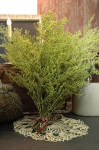 Pelinita-Artemisia Annua