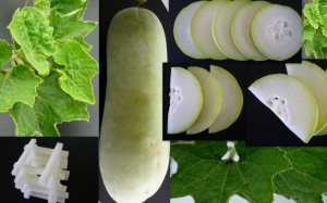 Pepene galben de iarna Wax Gourd