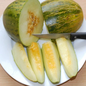 Pepene galben Piel de Sapo - Img 2