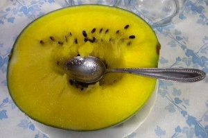 Pepene verde cu miez galben Janosek - Img 3