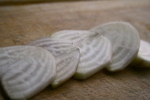 Sfecla alba Albino