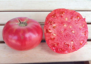 Tomate Brandywine Pink