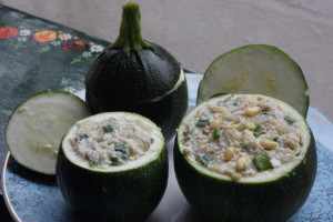 Dovlecel zucchini Piacenza Round Dark