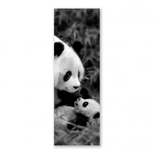 Tablou Canvas - Foto, Mama, Pui de Panda, 50 x 150 cm