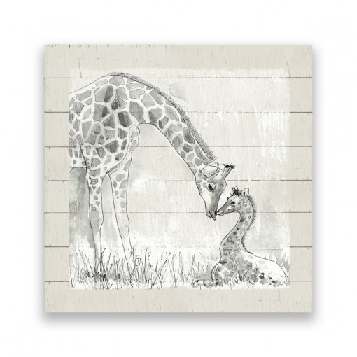Tablou Canvas - Animal, Girafa, 100 x 100 cm