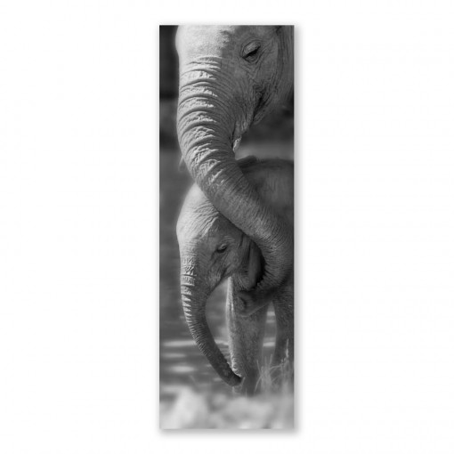 Tablou Canvas - Foto, Mama, Pui de Elefant, 50 x 150 cm