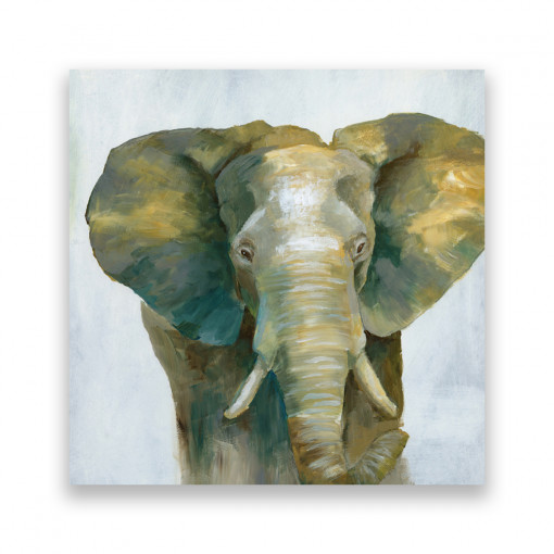Tablou Canvas - Animal, Elefant, Africa, Pictura, 100 x 100 cm