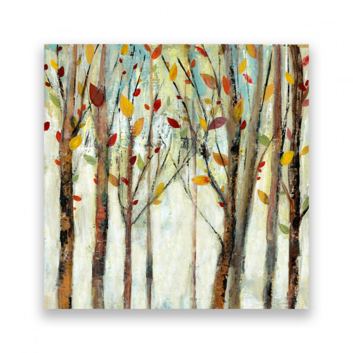 Tablou Canvas - Natura, Padure, Frunze, Toamna, 100 x 100 cm