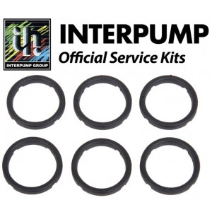 GARNITURI PRESIUNE - KIT 90 INTERPUMP - Img 2