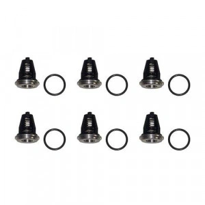 SUPAPE PRESIUNE - KIT 62 INTERPUMP