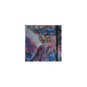 Solutie curatat vopsea si graffiti | SVG – 12l - Img 4