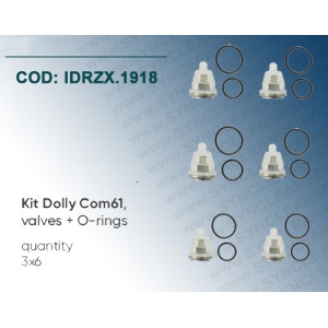 Supape presiune+ O-ring ZX.1918 Dolly COM61 , IDROBASE, pentru pompe Comet AX / AXD / AXR / AXS - Img 2