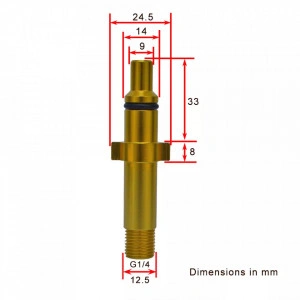 Adaptor lance spumare Nilfisk vechi