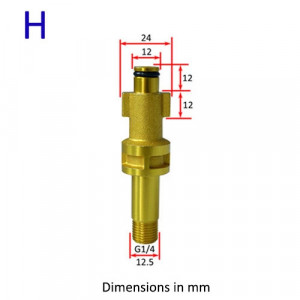 Adaptor lance spumare Ryobi