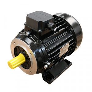 Motor electric trifazat 4KW cu ax exterior
