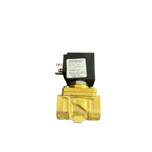 ELECTROVALVA APA, JOASA PRESIUNE, 24 V, AC