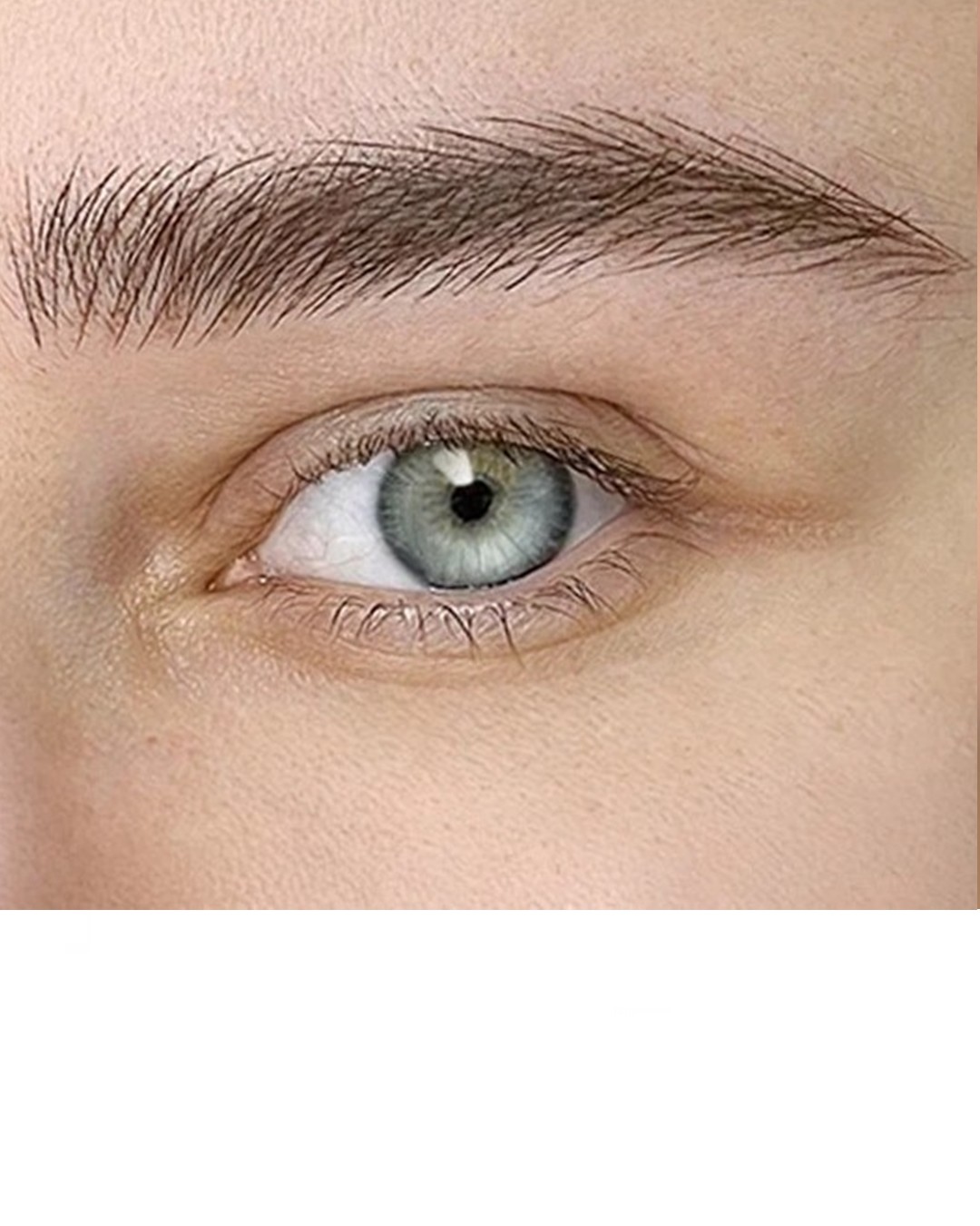 The Pigment Microblading