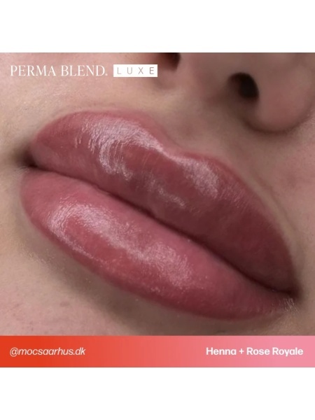 PERMA BLEND LUXE - HENNA 15ML REACH EU - Img 5