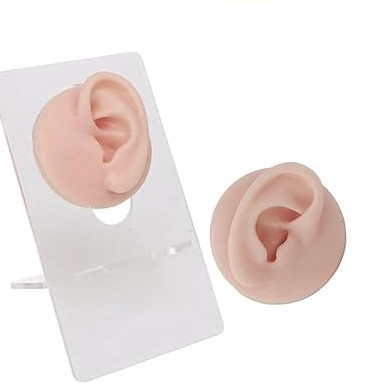 Modello Piercing Orecchio in Silicone con Base