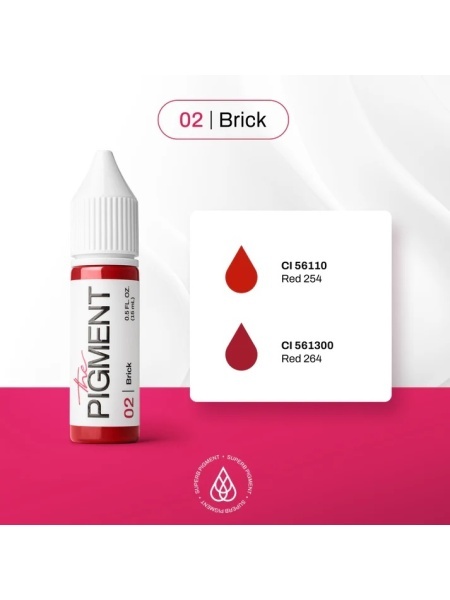 The Pigment - Brick 02 - 15ml - Img 3