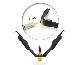 RCA &amp; CLIPCORD Combo Fusion - Img 2