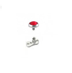 Dermal Completo Rosso 5mm