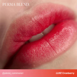 PERMA BLEND LUXE - CRANBERRY 15ML REACH EU - Img 5