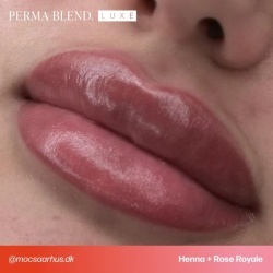 PERMA BLEND LUXE - HENNA 15ML REACH EU - Img 5