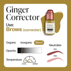 Correttore Perma Blend Luxe PMU Ink - Ginger 15 ml - Img 2
