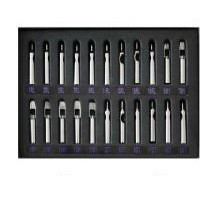 Set di punte in acciaio 22 pz