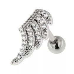 Trago Ali Argento 1,2øx6mm