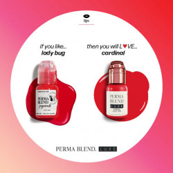 PERMA BLEND LUXE - CARDINAL 15ML REACH EU - Img 4