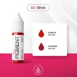 The Pigment - Brick 02 - 15ml - Img 3