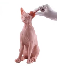 Egyptian Cat in silicone - Img 3