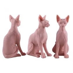 Egyptian Cat in silicone - Img 4