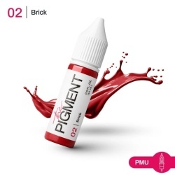 The Pigment - Brick 02 - 15ml