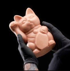 A Pound of Flesh Tattooable Lucky Cat - Img 5