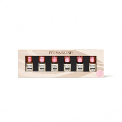 PERMA BLEND LUXE - Ready, Set, Go Pre-Modified Set 6x15ml - Img 2