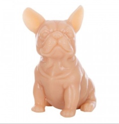 Silicone Frenchie - Practice Skin