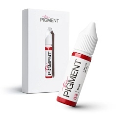 The Pigment - Brick 02 - 15ml - Img 4