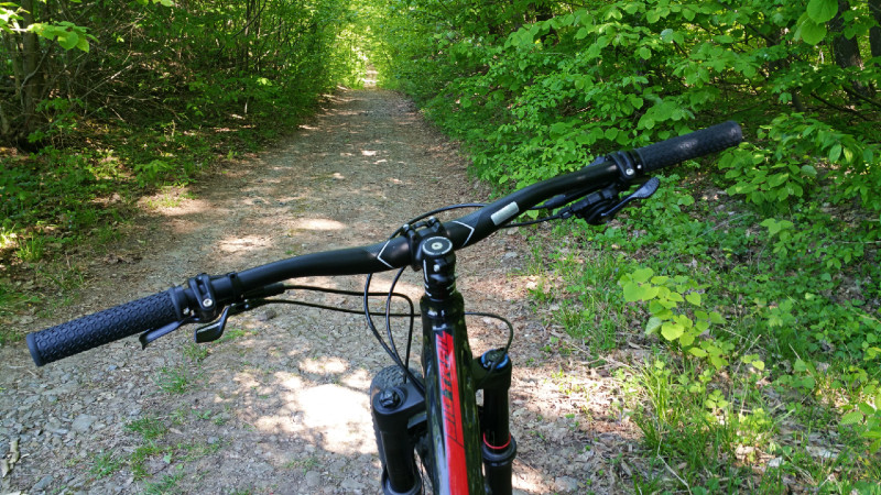 4 trasee de bicicleta langa Bucuresti potrivite si pentru copii
