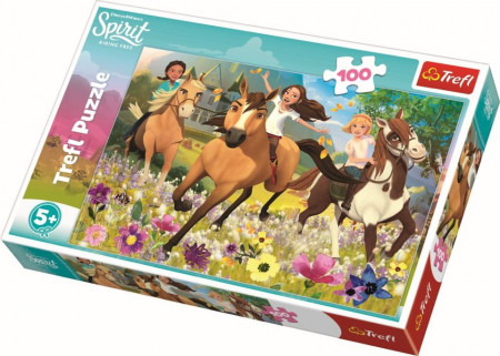 Puzzle Trefl, Spirit, Urmareste visul, 100 piese