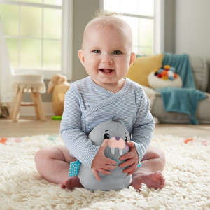 Jucarie interactiva Fisher Price, Morsa Linistitoare cu Vibratii - Img 7