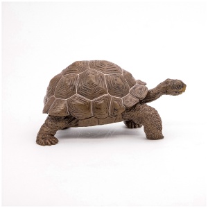 PAPO FIGURINA TESTOASA GALAPAGOS - Img 2