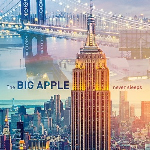 PUZZLE TREFL 1000 ZORI DE ZI LA NEW YORK - Img 2