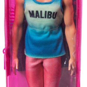 BARBIE PAPUSA BAIAT FASHIONISTAS CU MAIOU